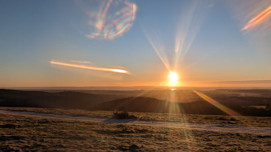 Why Wild Rise Exists