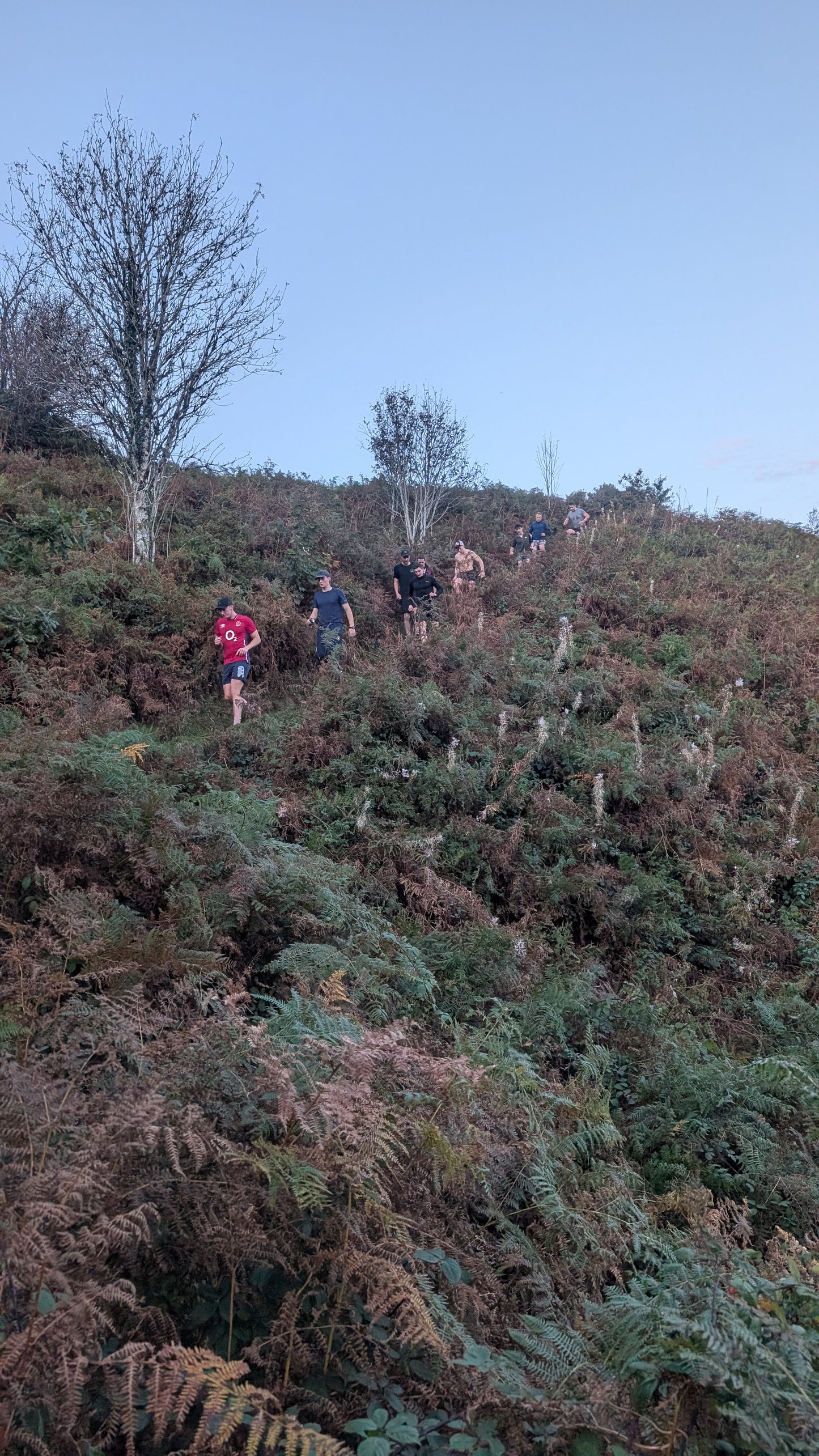 Wild Rise 8-Week Trail Running Block