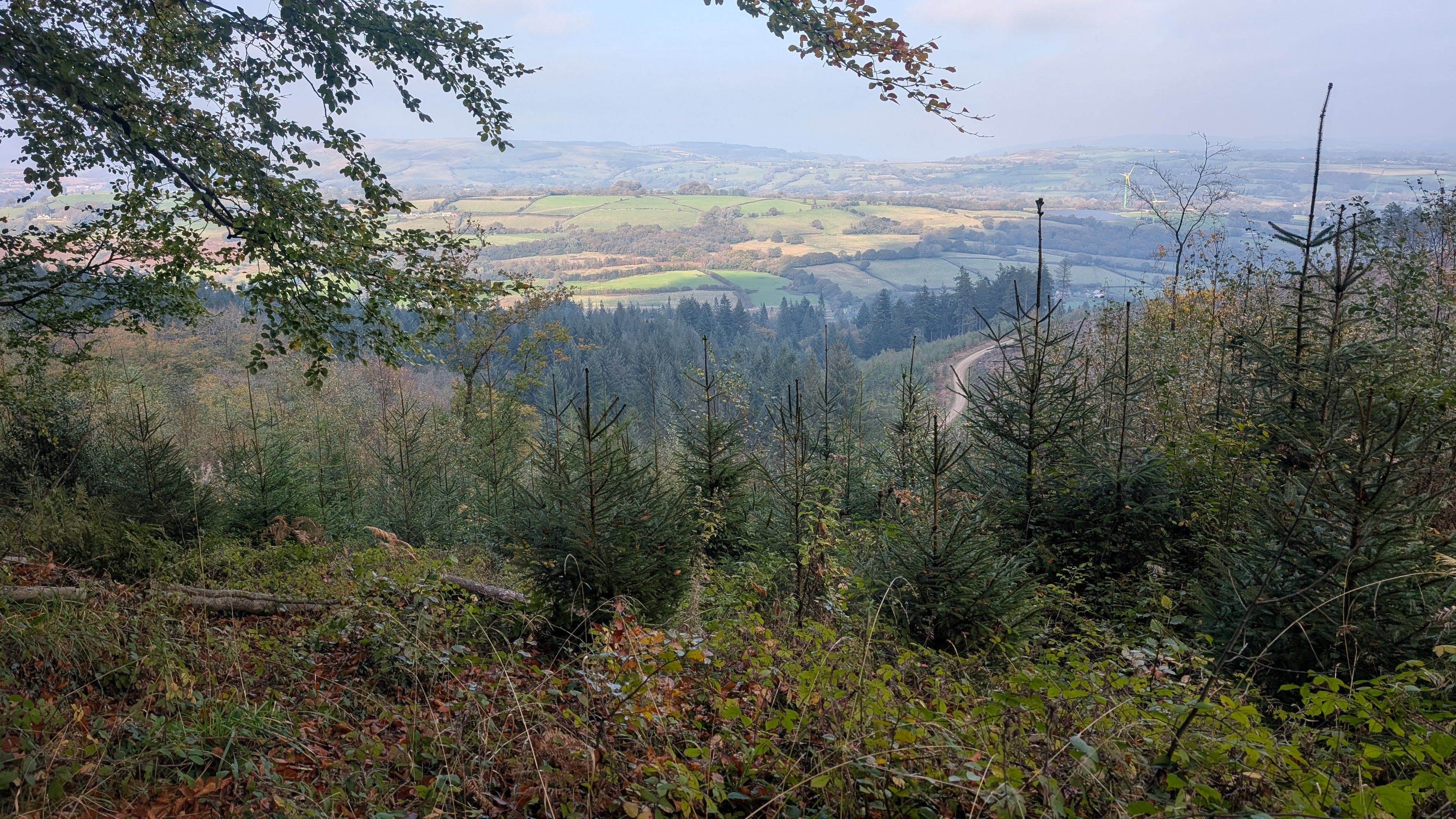 Llantrisant smaelog forest trail run