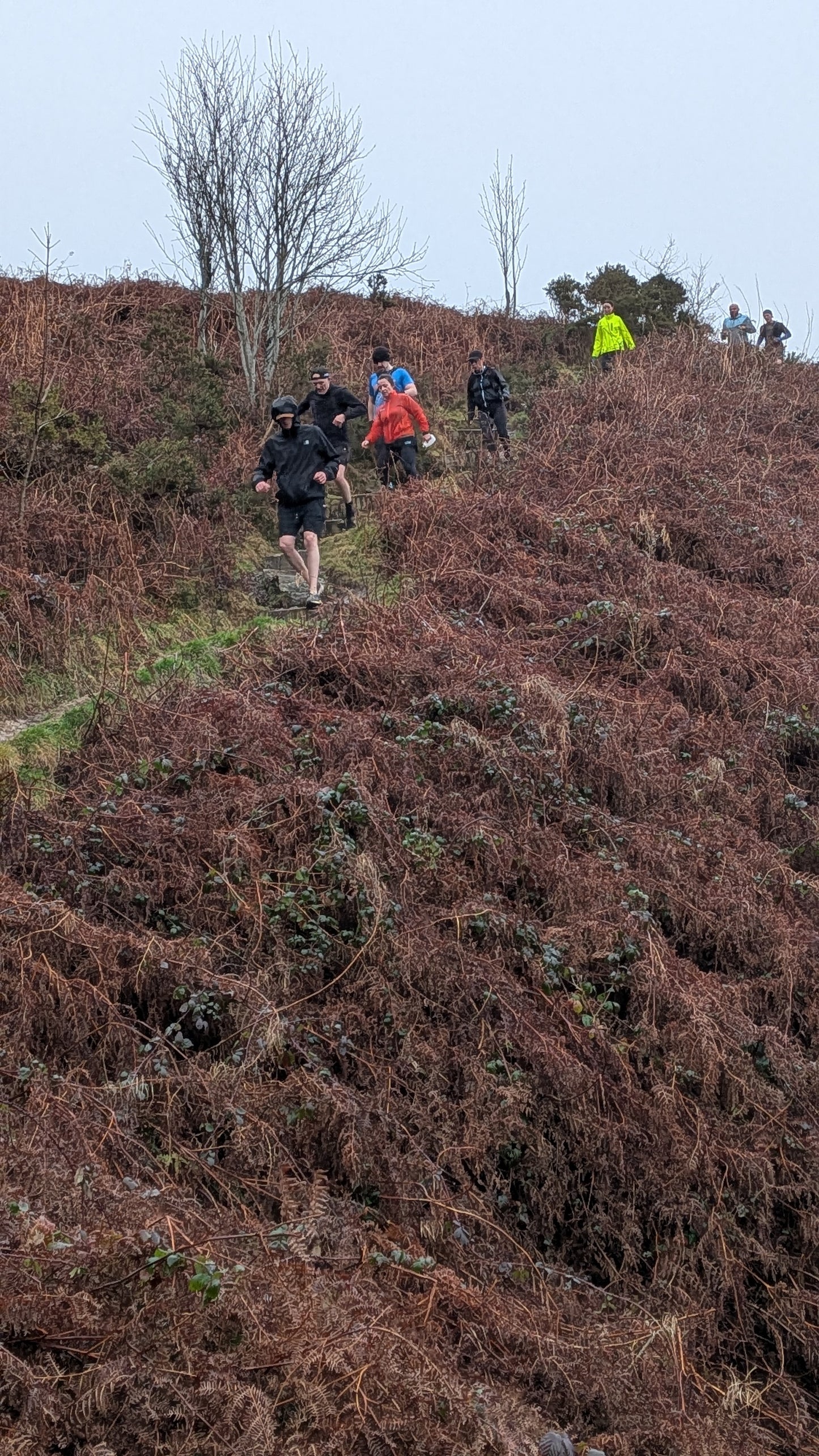Sunday Trail Run · 22nd March  (9:00–10:30am)