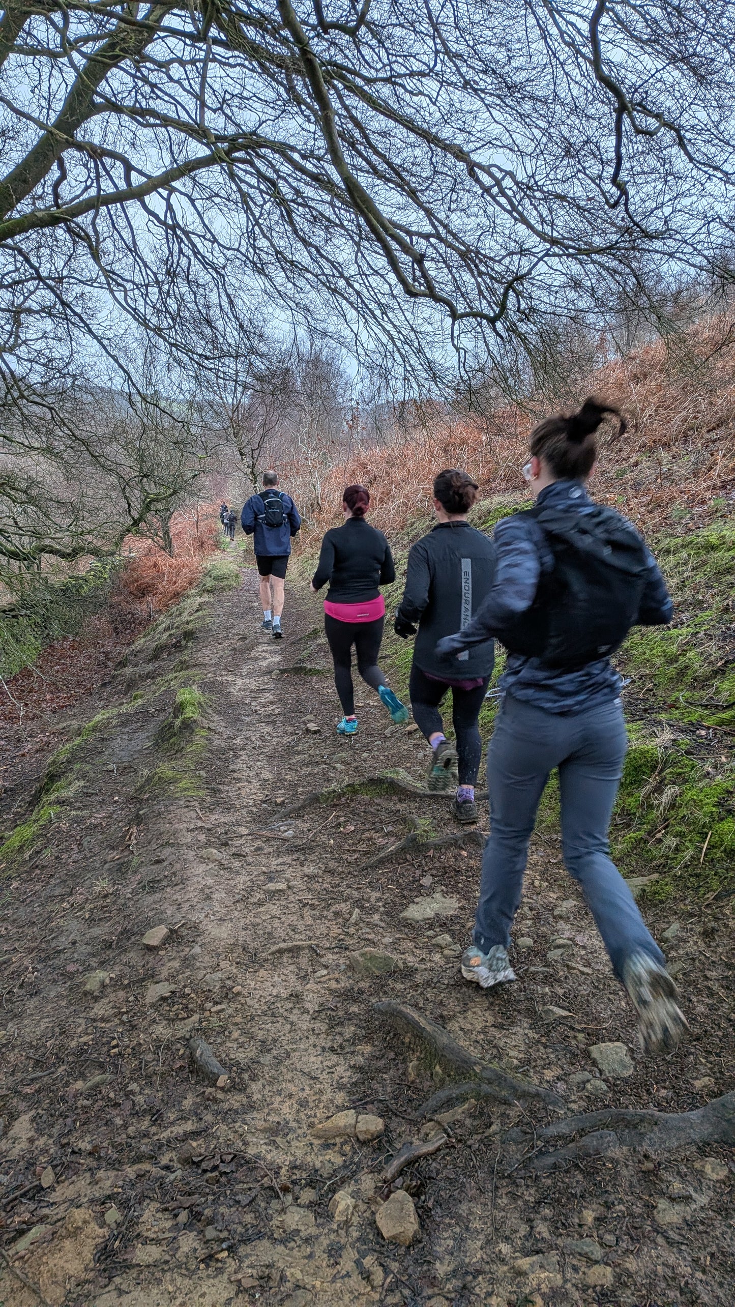 Wild Rise 8 Week Trail Running Block (February 8th - April 5th)
